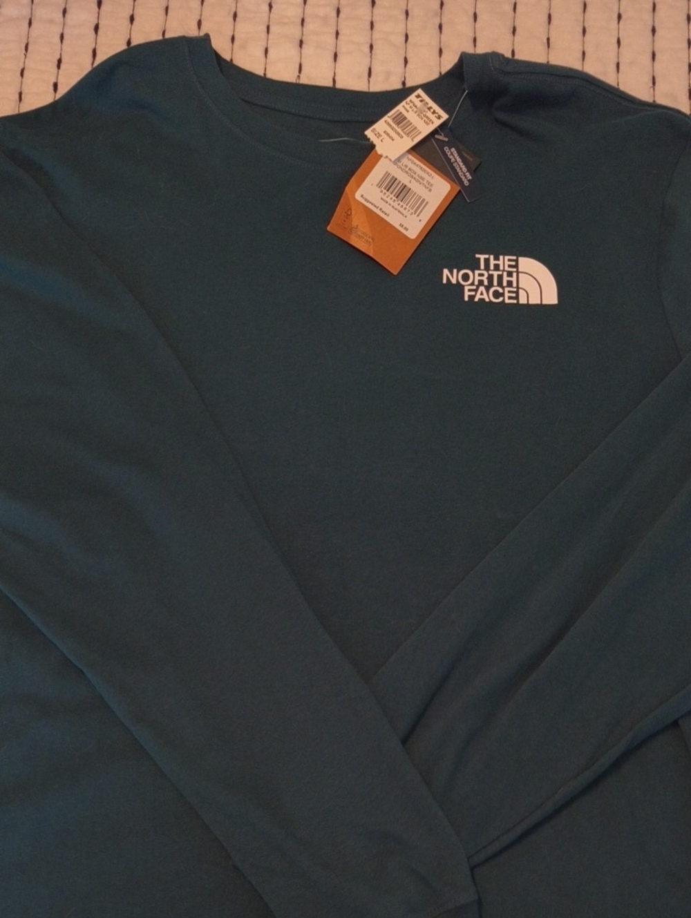 The North Face Men's Long Sleeve Crew in Teal Blue